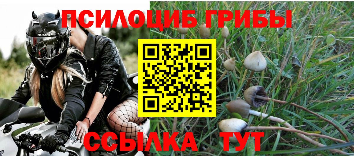 Галлюциногенные грибы Cubensis  Вход с VPN  Псилоцибиновые грибы ЛСД  Пушкино 